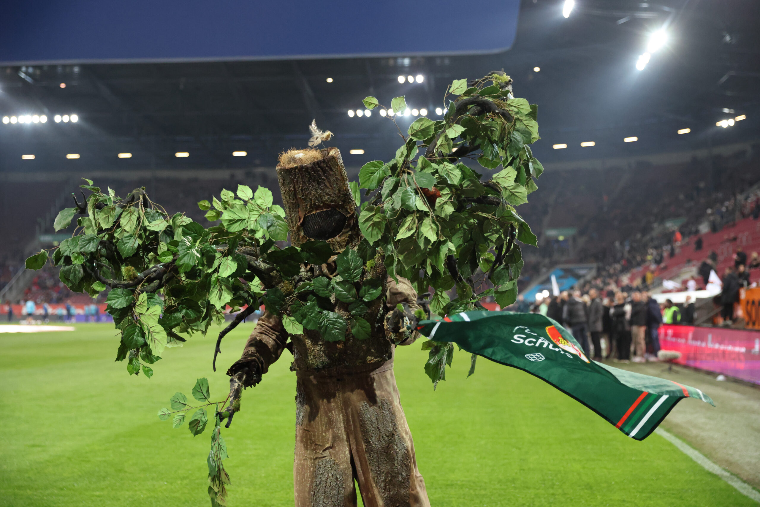 Kostümierte Baumfigur auf dem Spielfeld des FC Augsburg