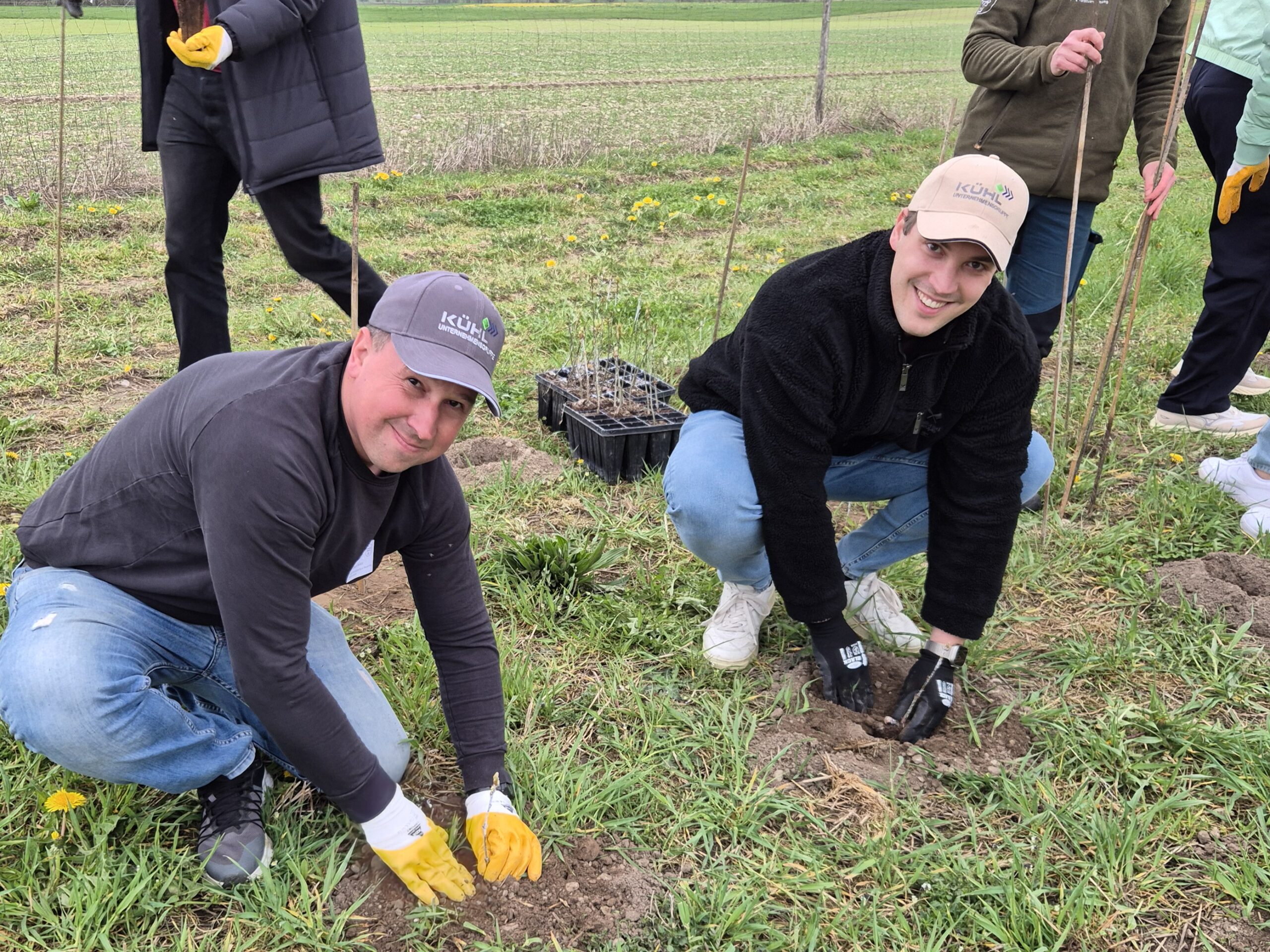 Teilnehmende der Baumpflanzaktion setzen Jungbäume auf einer Wiese