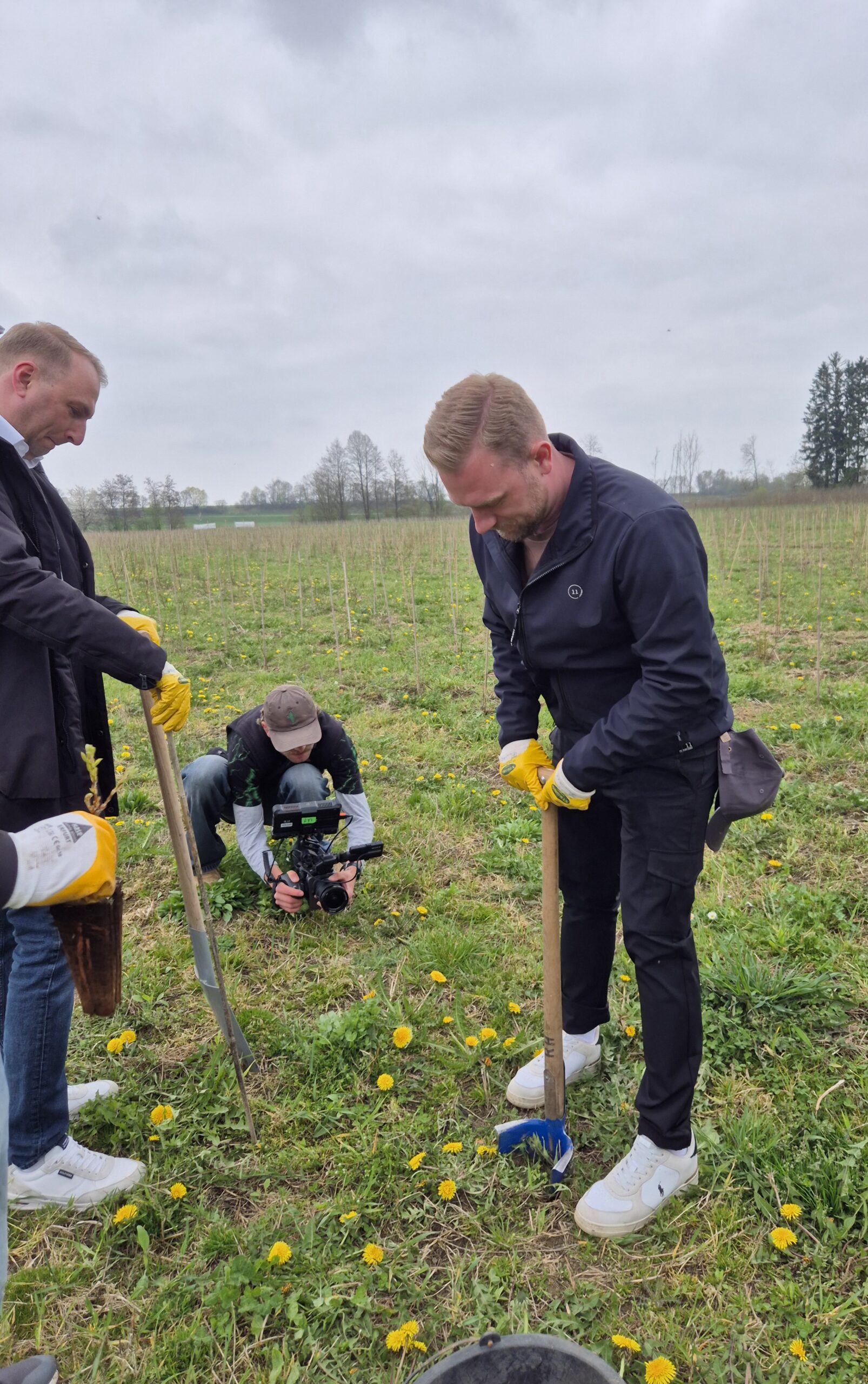 Teilnehmer setzt bei der Baumpflanzaktion einen Jungbaum mit dem Spaten ein